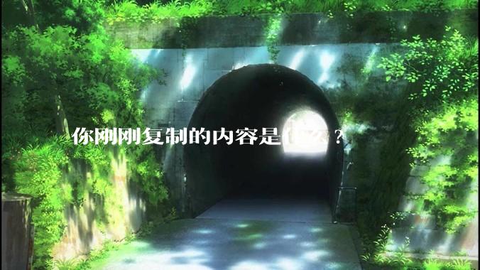 你刚刚复制的内容是什么?